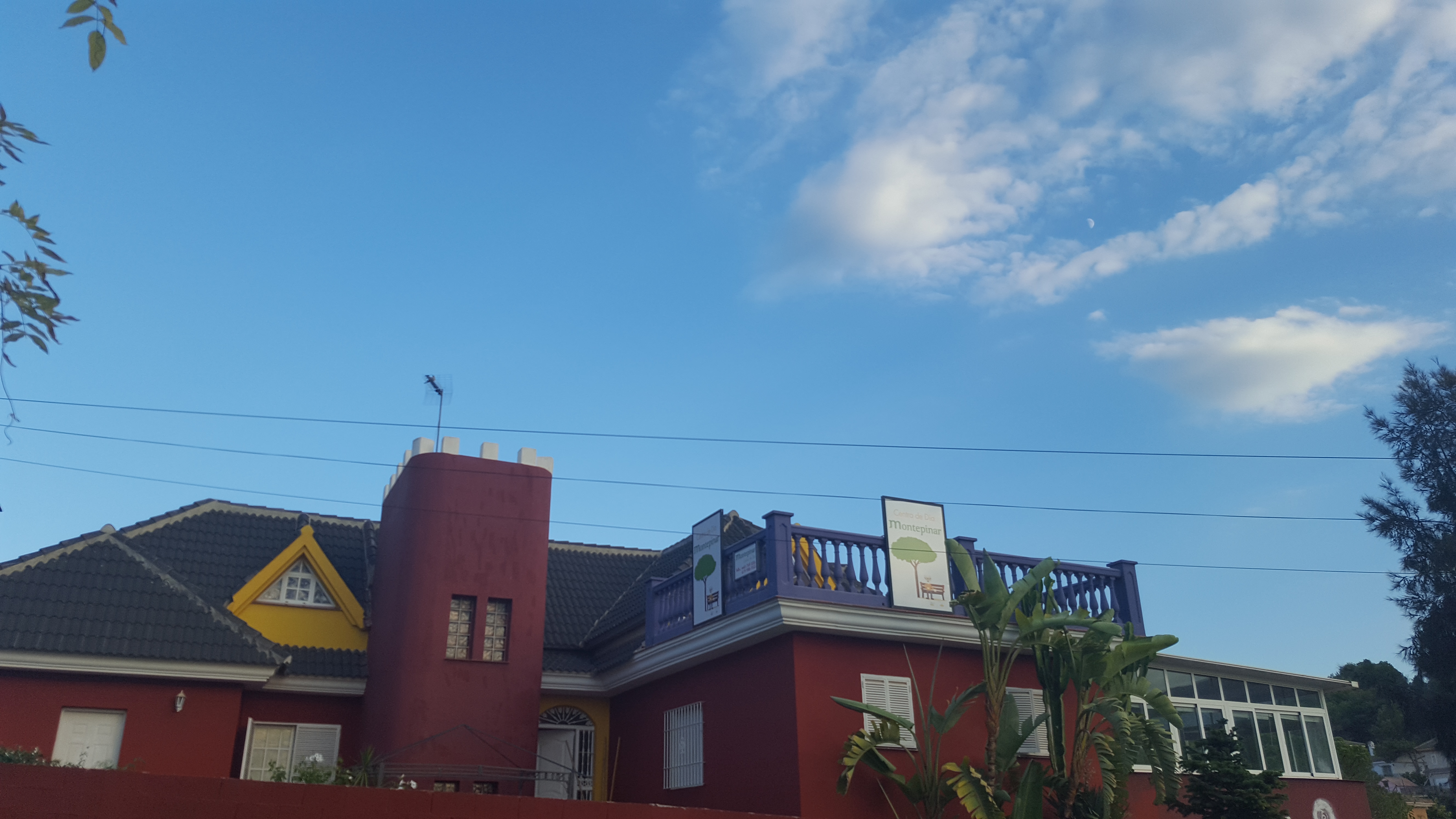 Galería de imágenes